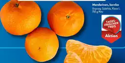 Aldi Süd Mandarinen, kernlos ` Angebot