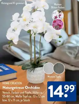 Aldi Süd HOME CREATION Naturgetreue Orchidee Angebot