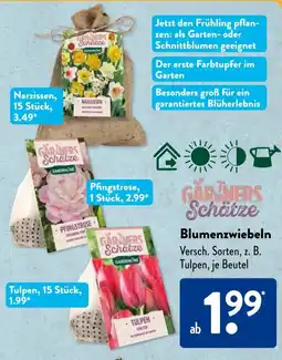 Aldi Süd GARNERS Schätze Blumenzwiebeln Angebot