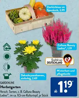 Aldi Süd GARDENLINE Herbstgarten Angebot