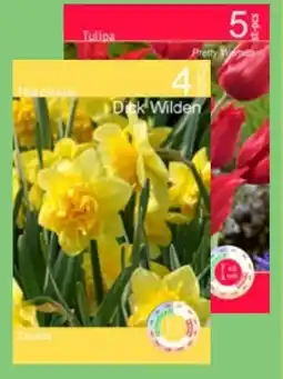 Thomas Philipps Tulpen-Narzissen-Strauß Angebot