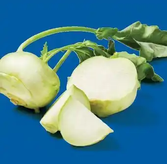 Lidl Kohlrabi Angebot