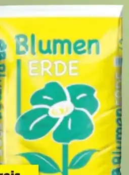 Thomas Philipps Grüner Jan Blumenerde Angebot