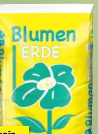 Thomas Philipps Grüner Jan Blumenerde Angebot