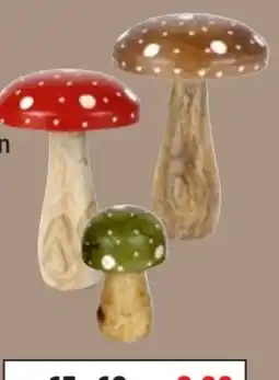 Thomas Philipps Deko-Pilz Angebot