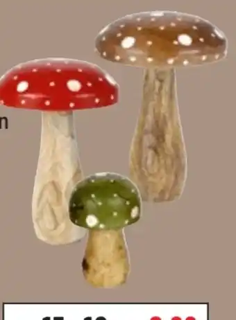 Thomas Philipps Deko-Pilz Angebot