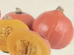 Thomas Philipps Speisekürbis Hokkaido Angebot