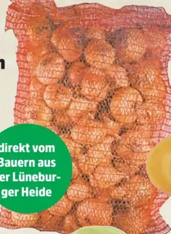 Thomas Philipps Speisezwiebeln XXL Angebot