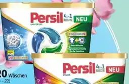 Thomas Philipps Persil Universal Duo-Caps Angebot