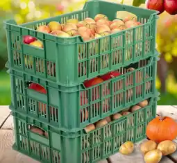 Thomas Philipps Obst-Gemüsekiste Angebot