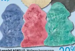 Trends Möbel Lammfell Agnello Angebot