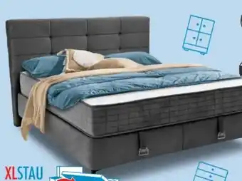 Trends Möbel Boxbett LILOU Angebot