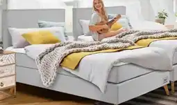 Trends Möbel Sansibar Boxspringbett Poel Angebot