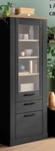 Trends Möbel Vitrine Duro Angebot