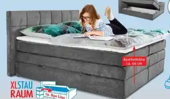 Trends Möbel Boxspringbett Alicante Angebot