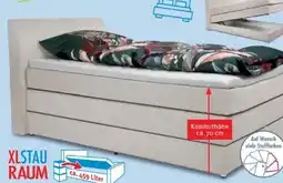 Trends Möbel Boxspringbett Kamaria Angebot