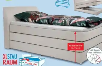 Trends Möbel Boxspringbett Kamaria Angebot