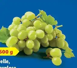 Lidl Trauben Angebot