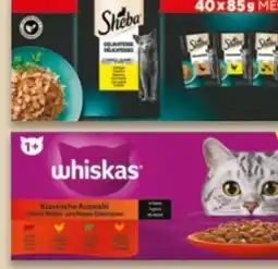 NETTO Sheba Katzennassnahrung Angebot