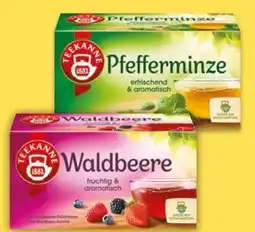 NETTO Teekanne Kräutertee Angebot