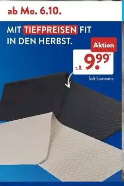 Aldi Süd Action 21 Angebot