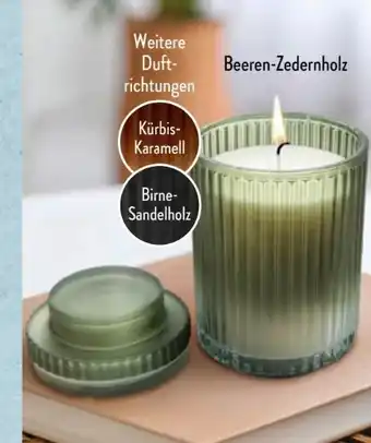 Aldi Süd Home Creation Duftkerze Angebot