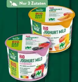 Aldi Süd Nur Natur Bio-Joghurt Angebot
