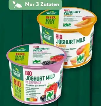 Aldi Süd Nur Natur Bio-Joghurt Angebot