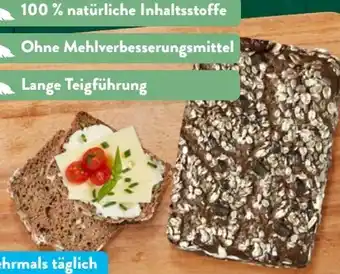 Aldi Süd Nur Natur Bio-Roggenvollkornbrot Angebot