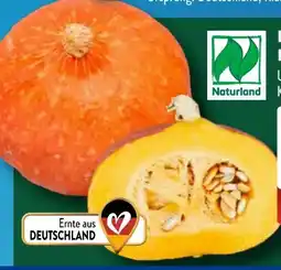Aldi Süd Bio Kürbis Hokkaido Angebot