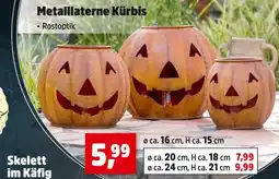 Thomas Philipps Metallaterne kürbis Angebot