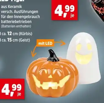 Thomas Philipps Led figur kürbis Angebot