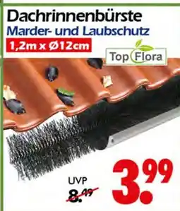 Wreesmann Top flora dachrinnenbürste Angebot