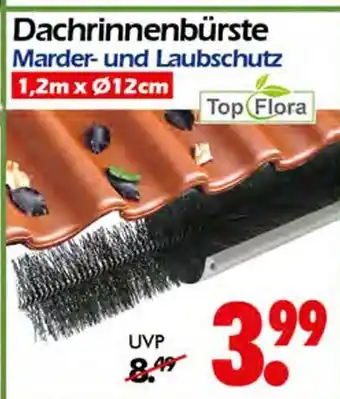 Wreesmann Top flora dachrinnenbürste Angebot