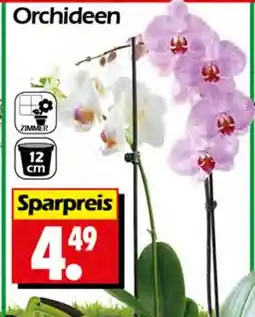 Wreesmann Orchideen Angebot