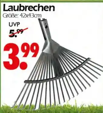 Wreesmann Laubrechen Angebot