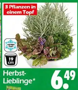 Wreesmann Herbst-lieblinge Angebot