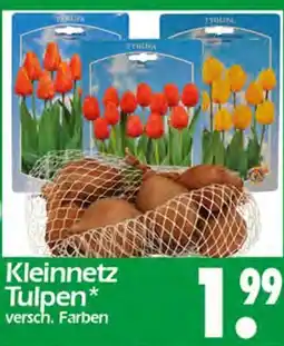 Wreesmann Kleinnetz tulpen Angebot