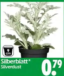 Wreesmann Silberblatt Angebot