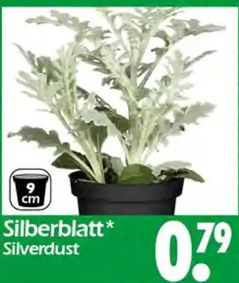 Wreesmann Silberblatt Angebot