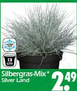 Wreesmann Silbergras-mix silver land Angebot