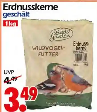 Wreesmann Birds garden erdnusskerne Angebot