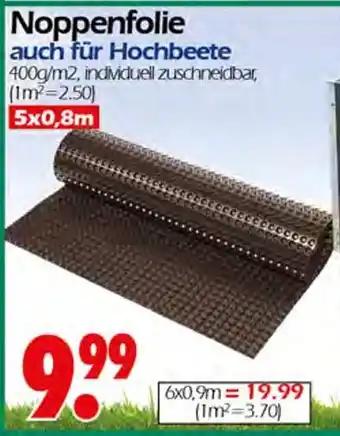 Wreesmann Noppenfolie Angebot