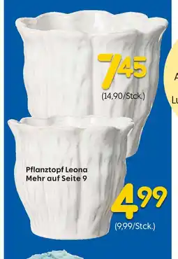 Rusta Pflanztopf leona Angebot