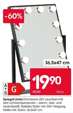 Rusta Spiegel linda Angebot