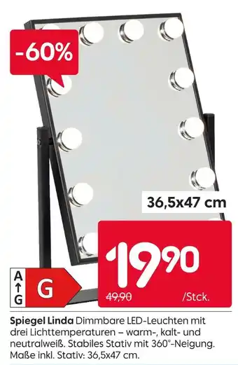 Rusta Spiegel linda Angebot