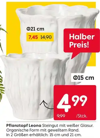 Rusta Pflanztopf leona Angebot