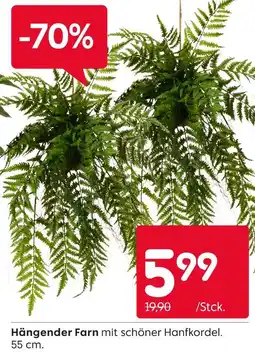 Rusta Hängender farn Angebot