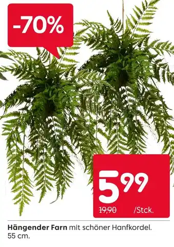 Rusta Hängender farn Angebot