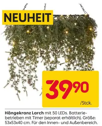 Rusta Hängekranz larch Angebot
